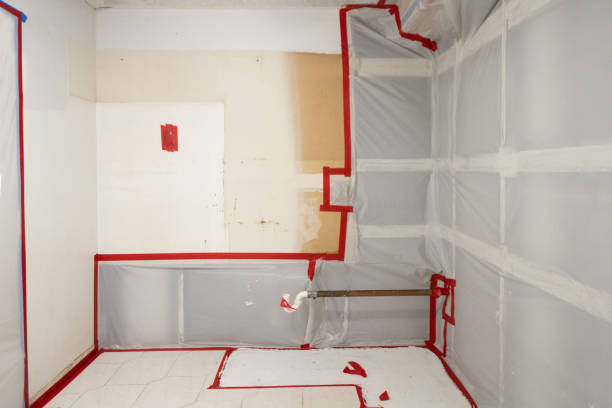 Best Mold Remediation for Healthcare Facilities  in Upland, IN