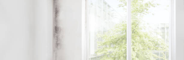 Best Air Quality Testing for Mold Spores  in Upland, IN