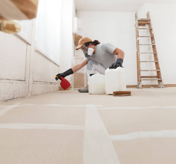 Best Water Damage & Mold Remediation  in Upland, IN
