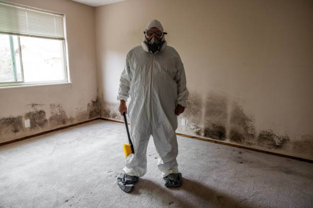 Best Commercial Mold Inspection  in Upland, IN