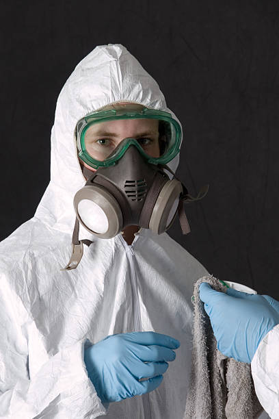 Best Mold-Related Health Consultation  in Upland, IN